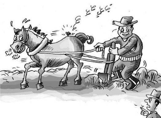 管理學中的懶馬效應